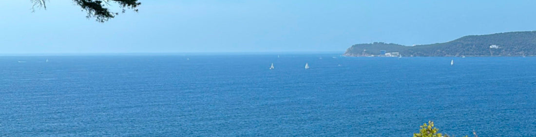 Pumpkin News - Septembre 2025