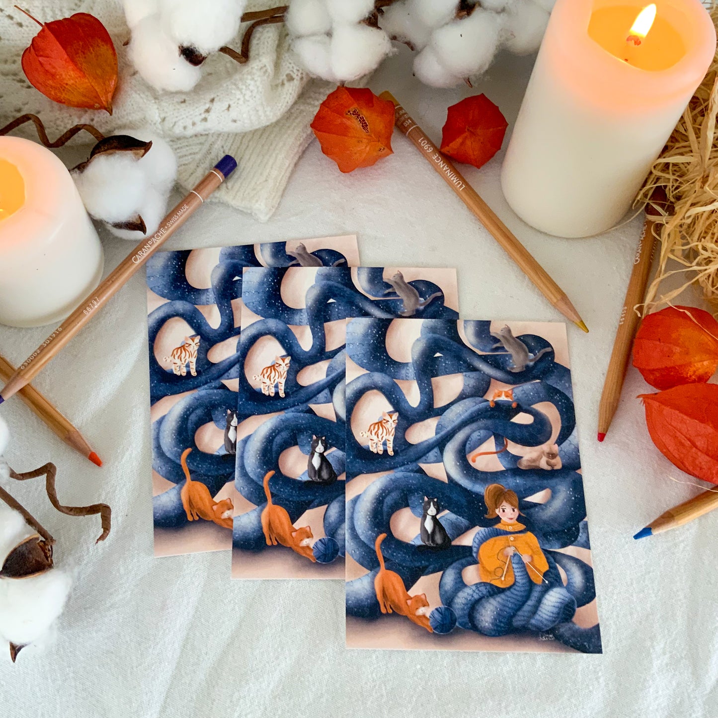 Carte - Tricot-chats