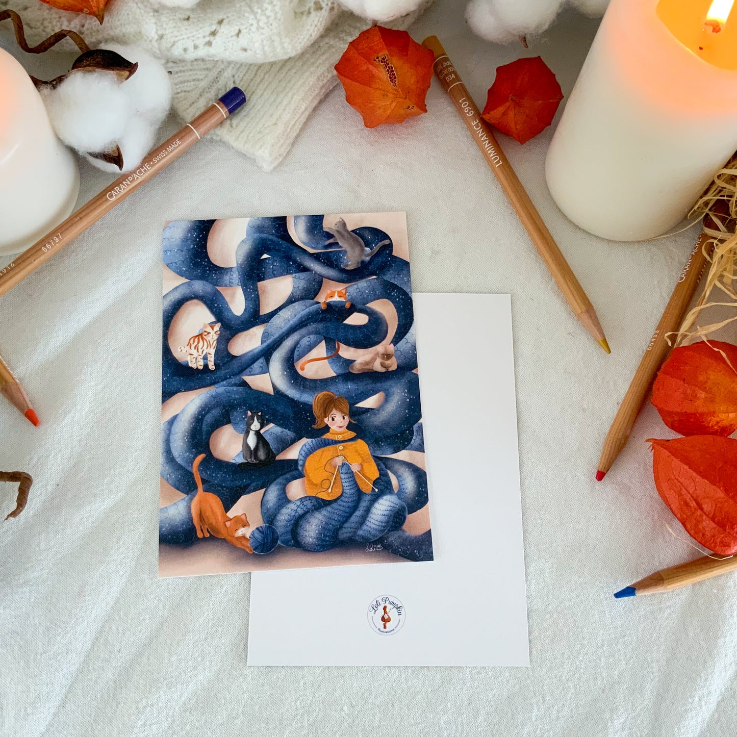 Carte - Tricot-chats