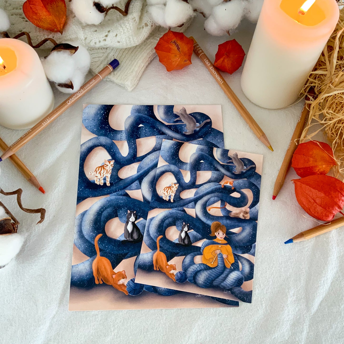 Carte - Tricot-chats